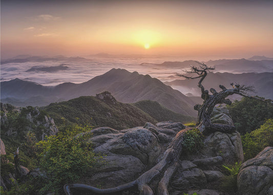 Sunrise on Top | Wallpaper