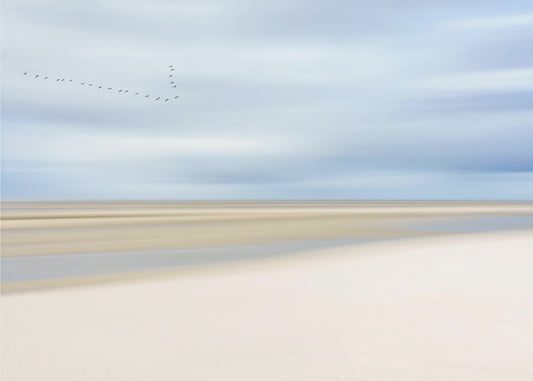 at the ocean III | Poster