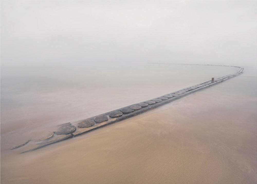 A Fine Day to Exit | Canvas