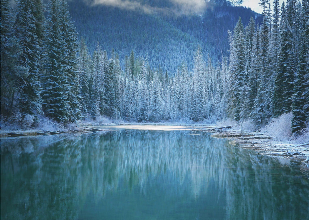 Wonder Winter Land | Poster