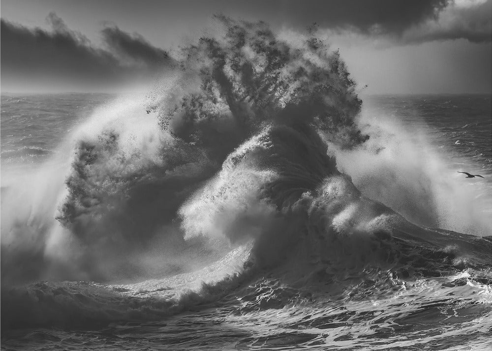 POSEIDON MAJESTY (Part 4) | Poster