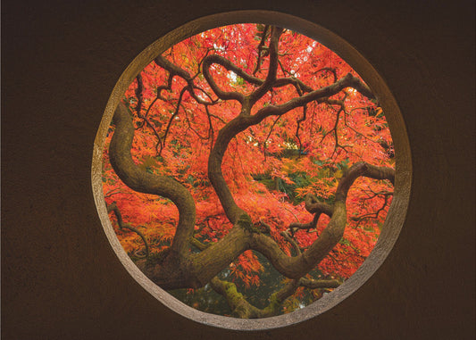 Autumn Sense | Canvas