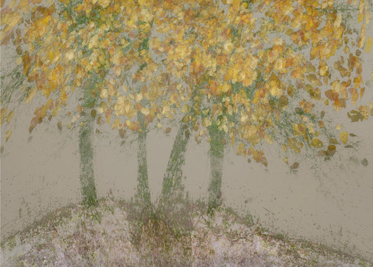 Blowing in the wind | Poster