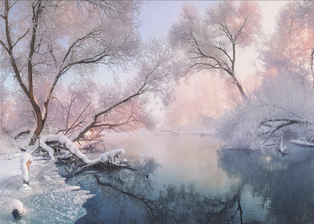 Christmas Lace | Poster