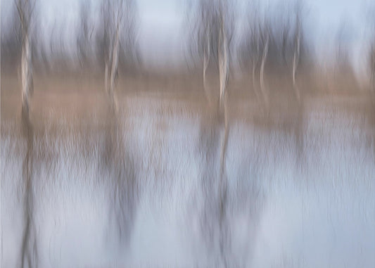 After the rain | Canvas