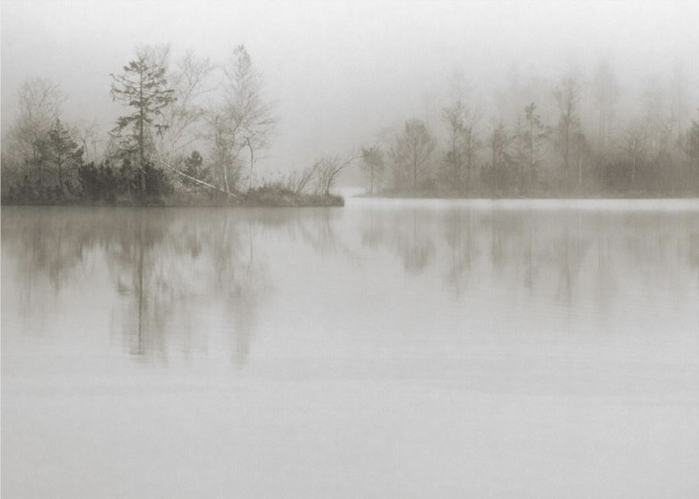 Dissolution | Poster