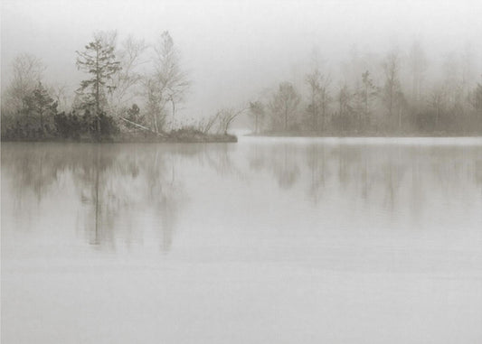 Dissolution | Poster