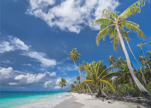 Desert Island | Poster