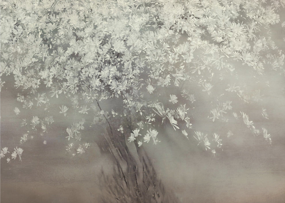 Stars of spring | Poster