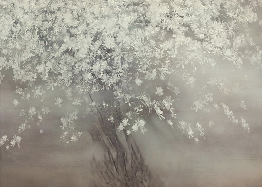 Stars of spring | Poster