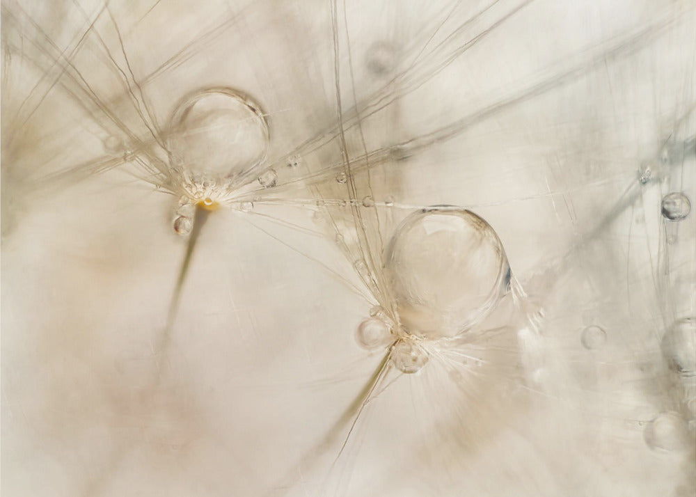 Watercolors | Canvas