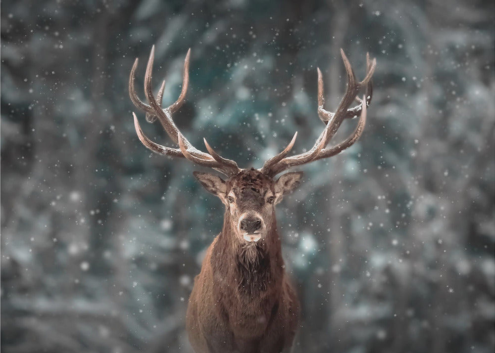 Deer King | Wallpaper