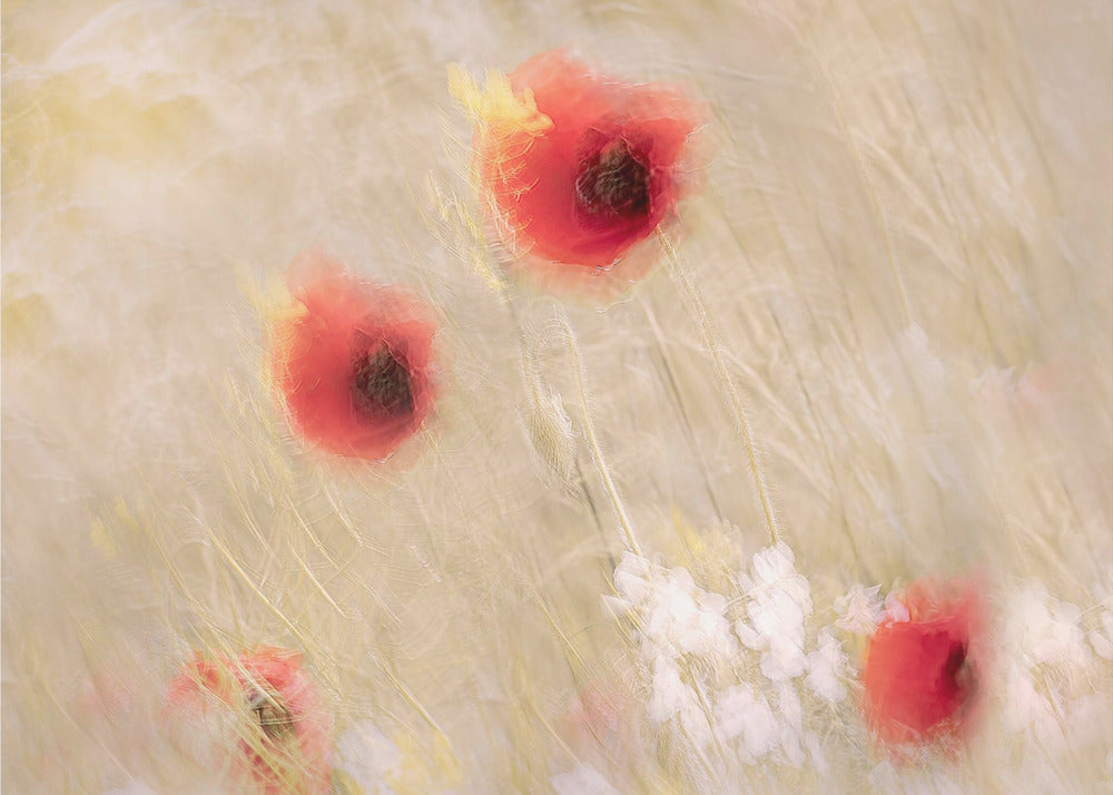 Between the grass | Poster