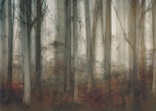 Autumn light | Poster