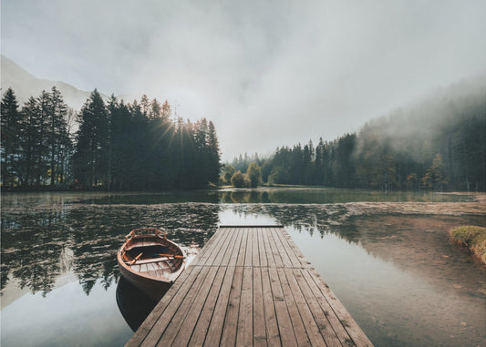 Foggy morning | Poster