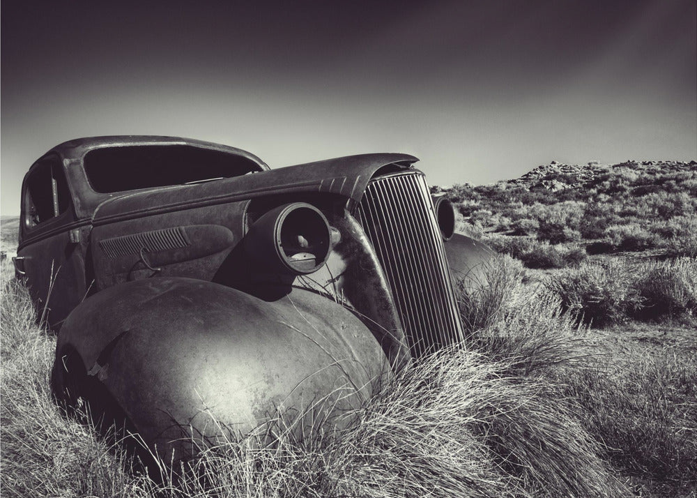 Disposed | Wallpaper