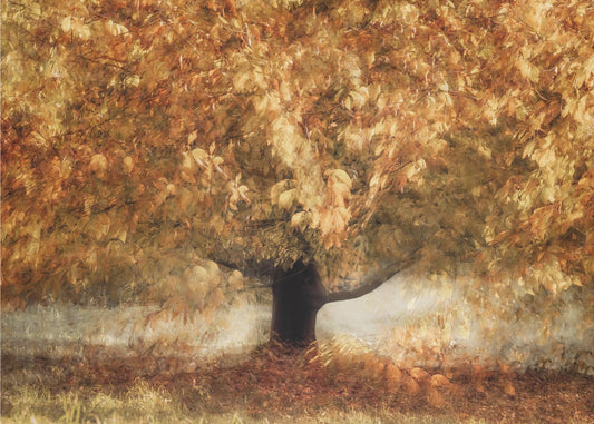 Gold colors | Canvas