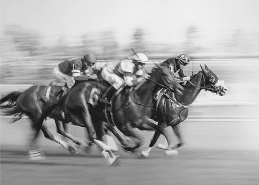 Horse Racing @ Queen's Plate | Wallpaper