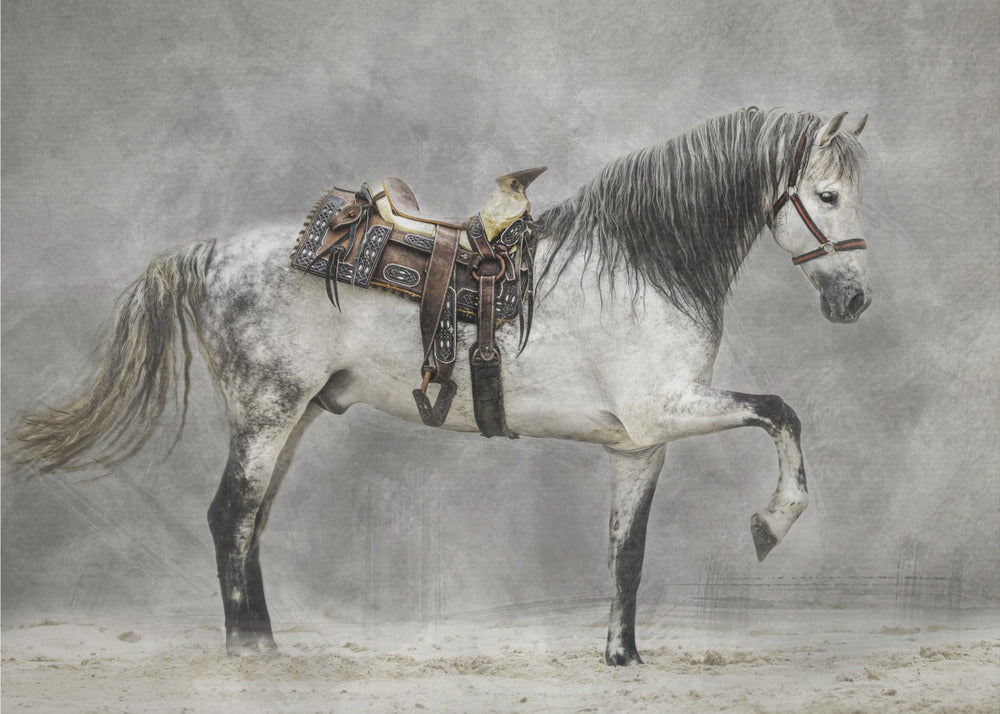 Strike a Pose | Canvas