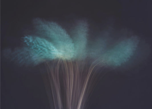 Visions in the Dark | Canvas