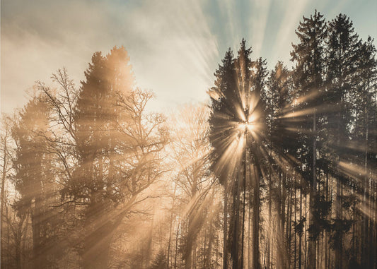 Fading away | Poster