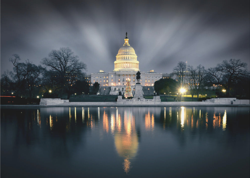 Captitol Hill | Canvas