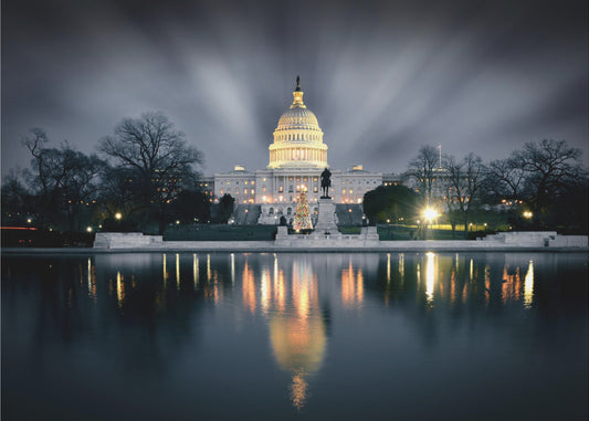 Captitol Hill | Canvas