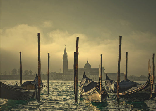 Light in the mist | Poster