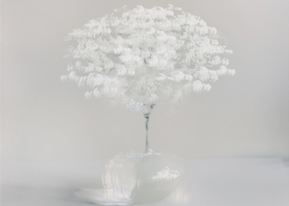 Innocent white | Canvas