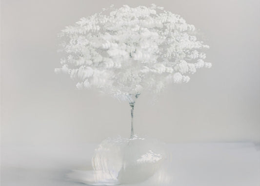 Innocent white | Canvas