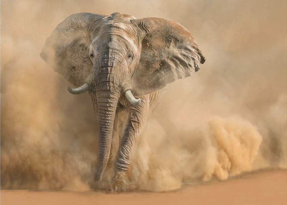 Desertstorm | Wallpaper