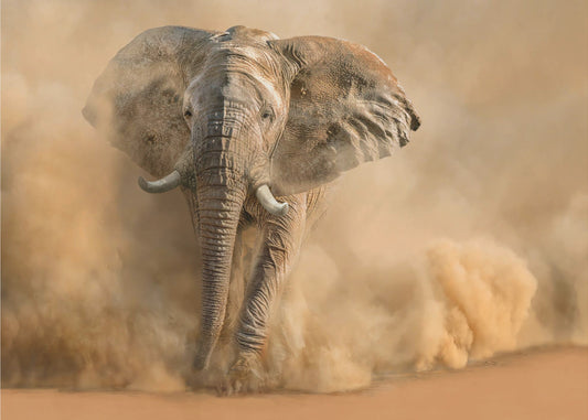 Desertstorm | Wallpaper