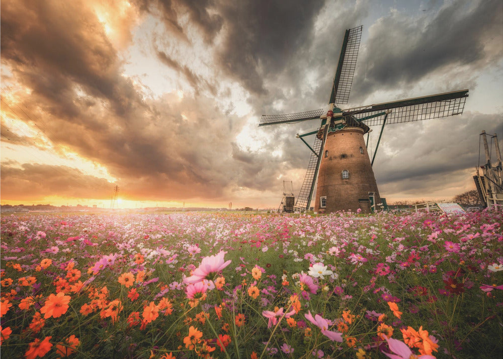 Magnificent flower world | Wallpaper