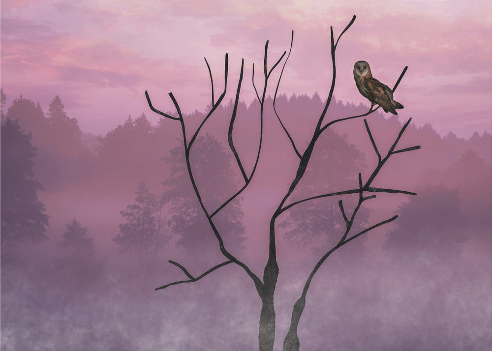 Pink Sky in the Morning | Poster