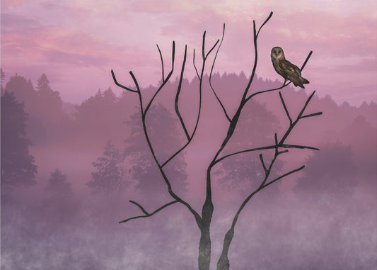 Pink Sky in the Morning | Wallpaper