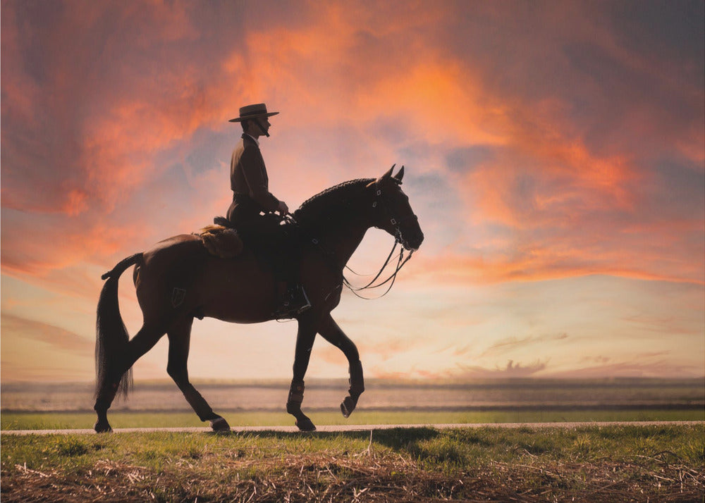Evening ride | Canvas