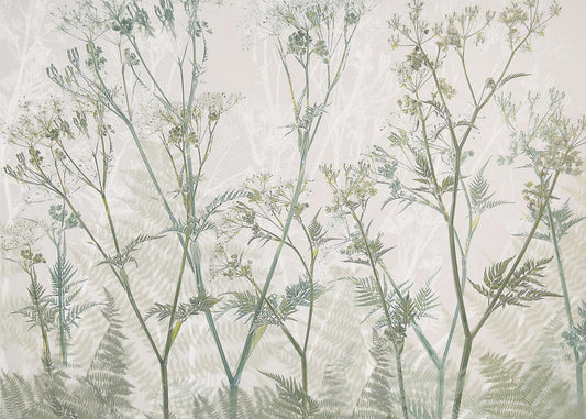 Cow parsley | Canvas