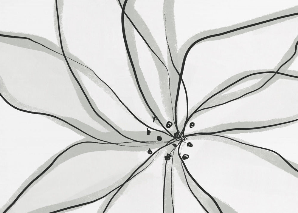 Fragile Flower | Wallpaper