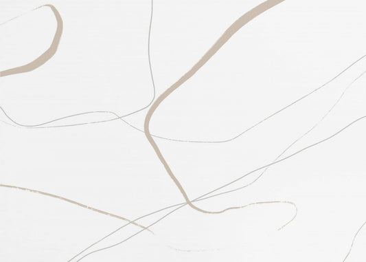 Beige And Gray Lines On A White Background | Canvas