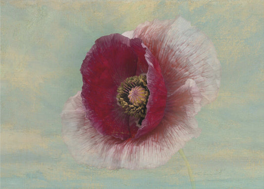 Burgundy Bonnet | Canvas