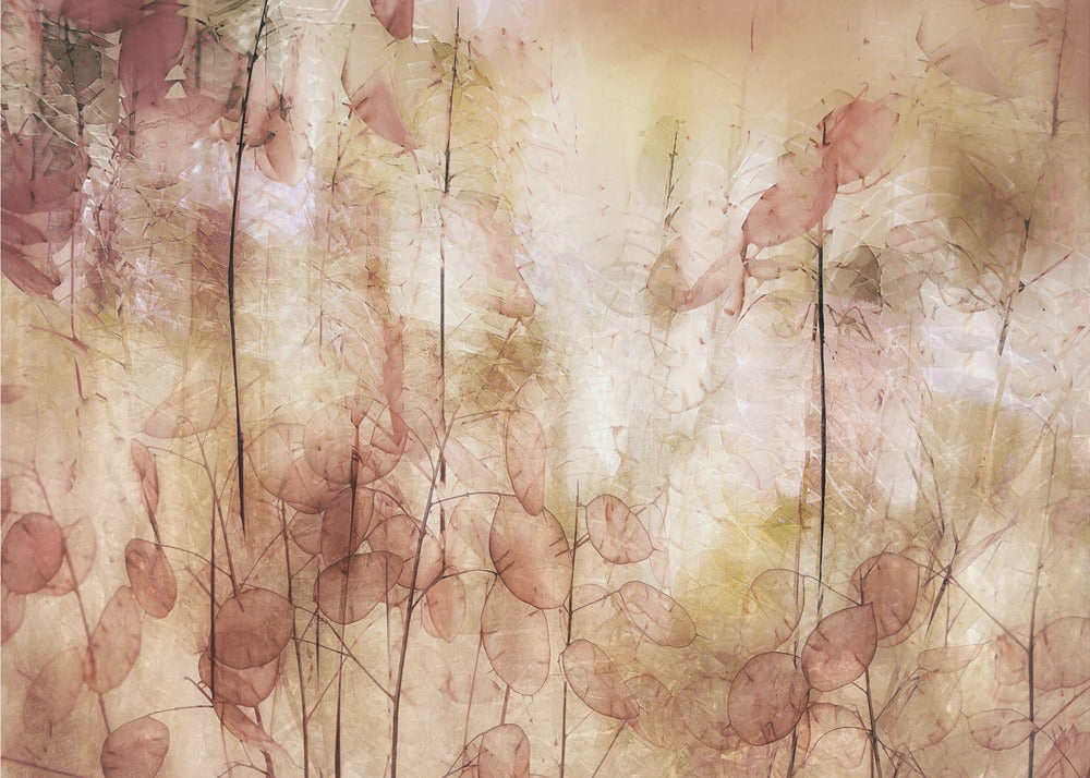 Seed pods | Poster
