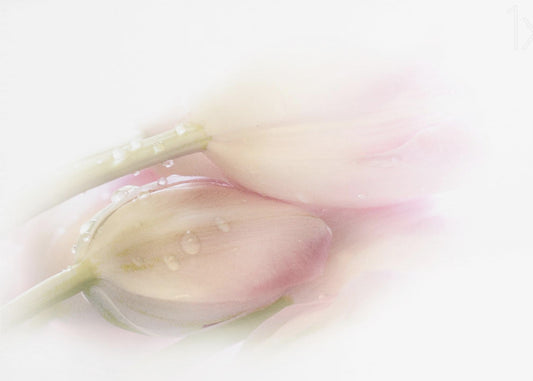 Touching | Wallpaper