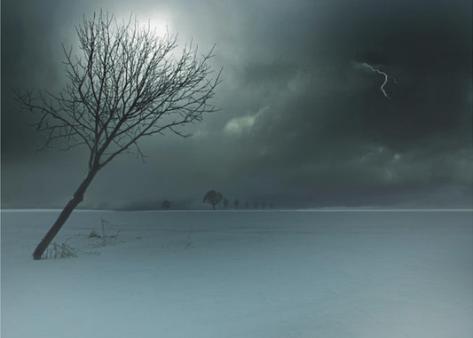 Wintergewitter | Poster