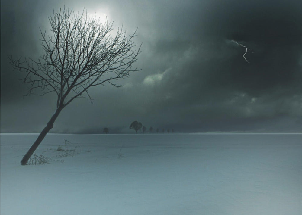 Wintergewitter | Canvas