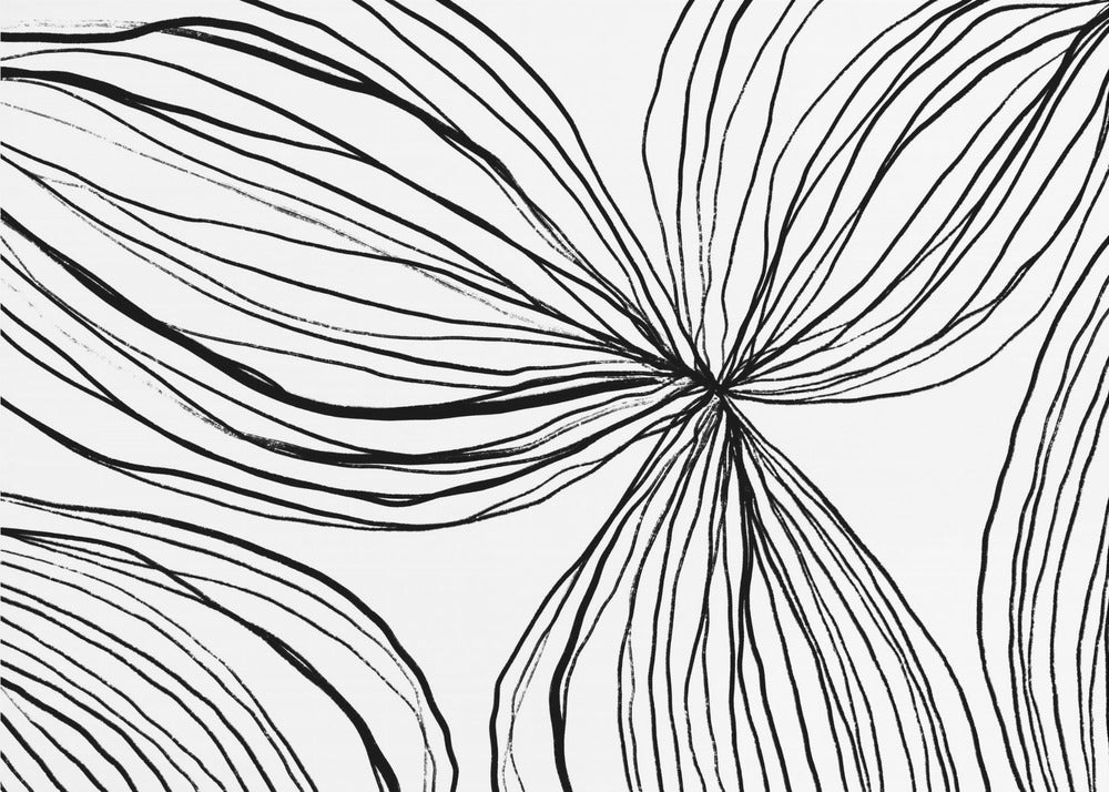 Flowing Petals | Wallpaper