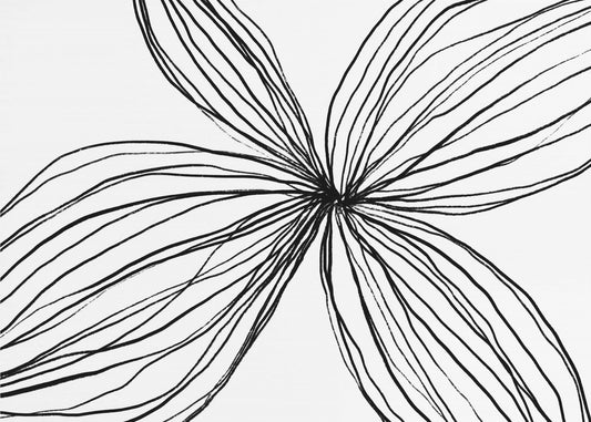 Elegant Black and White Petals | Poster