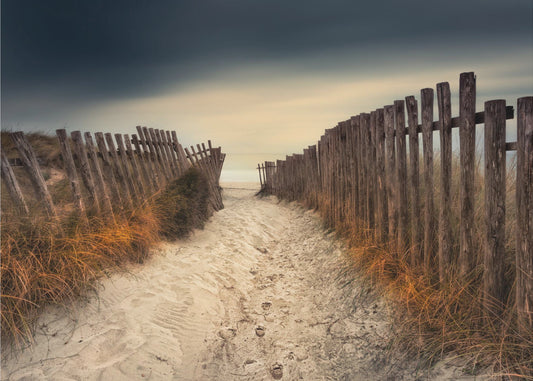 The path that led to you | Wallpaper