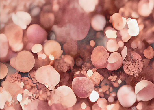 Blush Bokeh Dream | Canvas