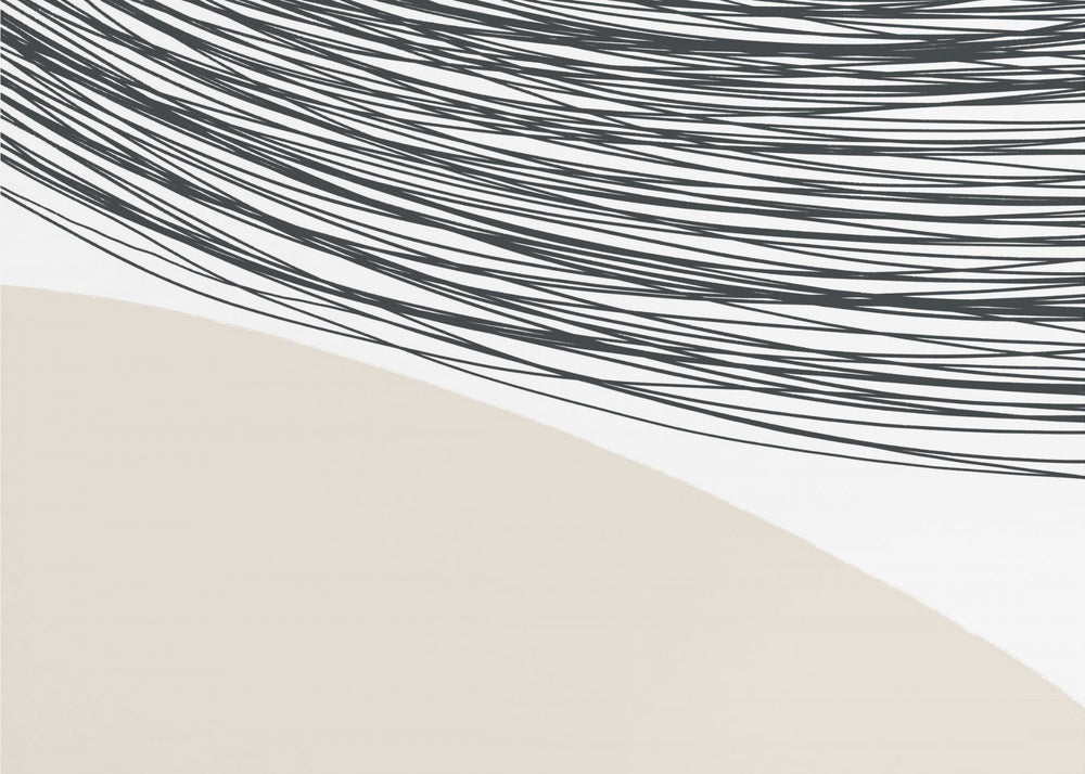 Curved Lines Harmony | Canvas