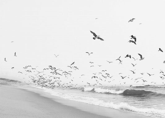 Seascape BW | Poster